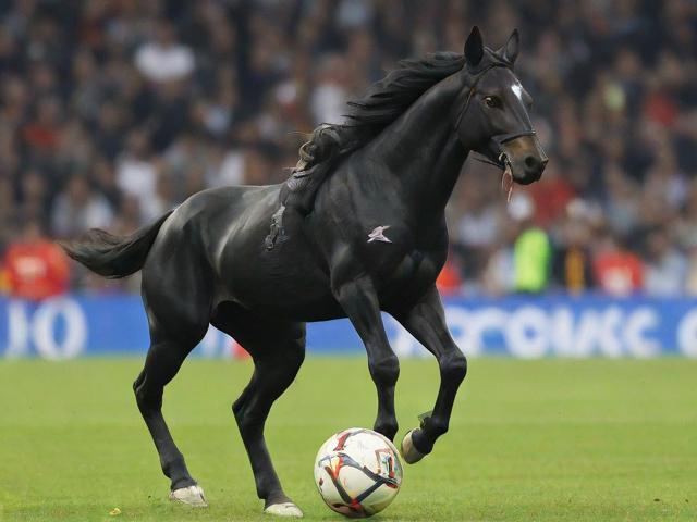 开云体育_ 德甲本赛季的黑马；球队的逆袭历程，德甲开球时间