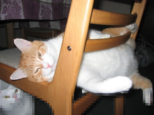 湖人大胜太阳！，湖人打太阳大比分