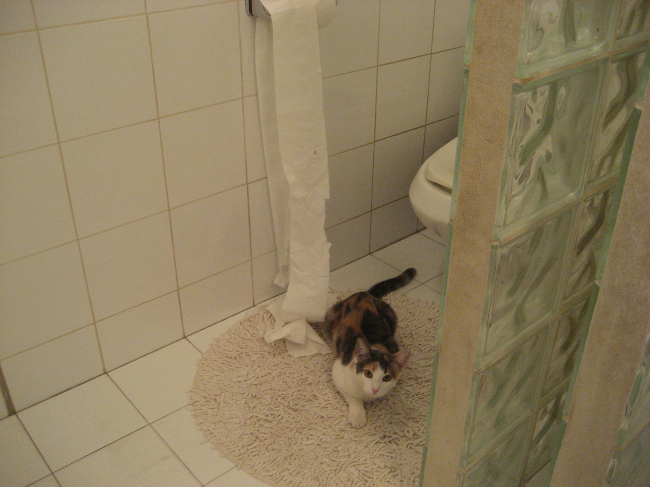 球迷热议：今年最具潜力的冠亚冠热门队伍，亚冠2021球队