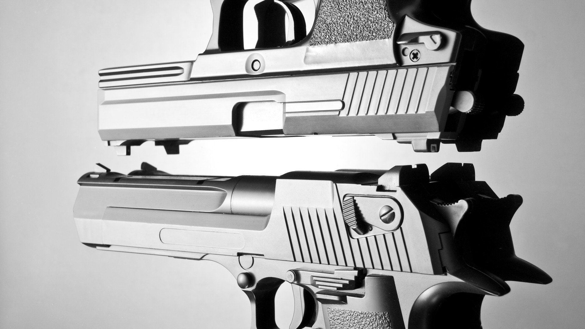 球迷“疯狂投票”:期待年度最佳新秀的最终赢家,球迷最疯狂的球队