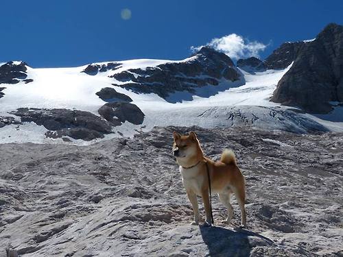 精彩瞬间盘点：年度十佳击球一览，击球运动