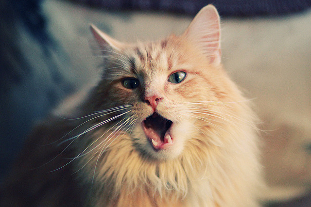 丁浩在“湾区杯”围棋大棋士赛中表现出色