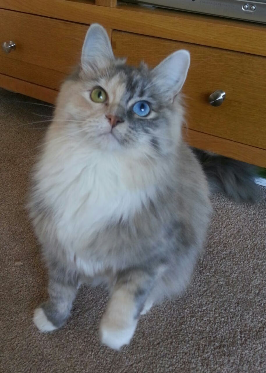 主场之战精彩激烈,比赛热度高涨令人期待,主场迎战什么意思