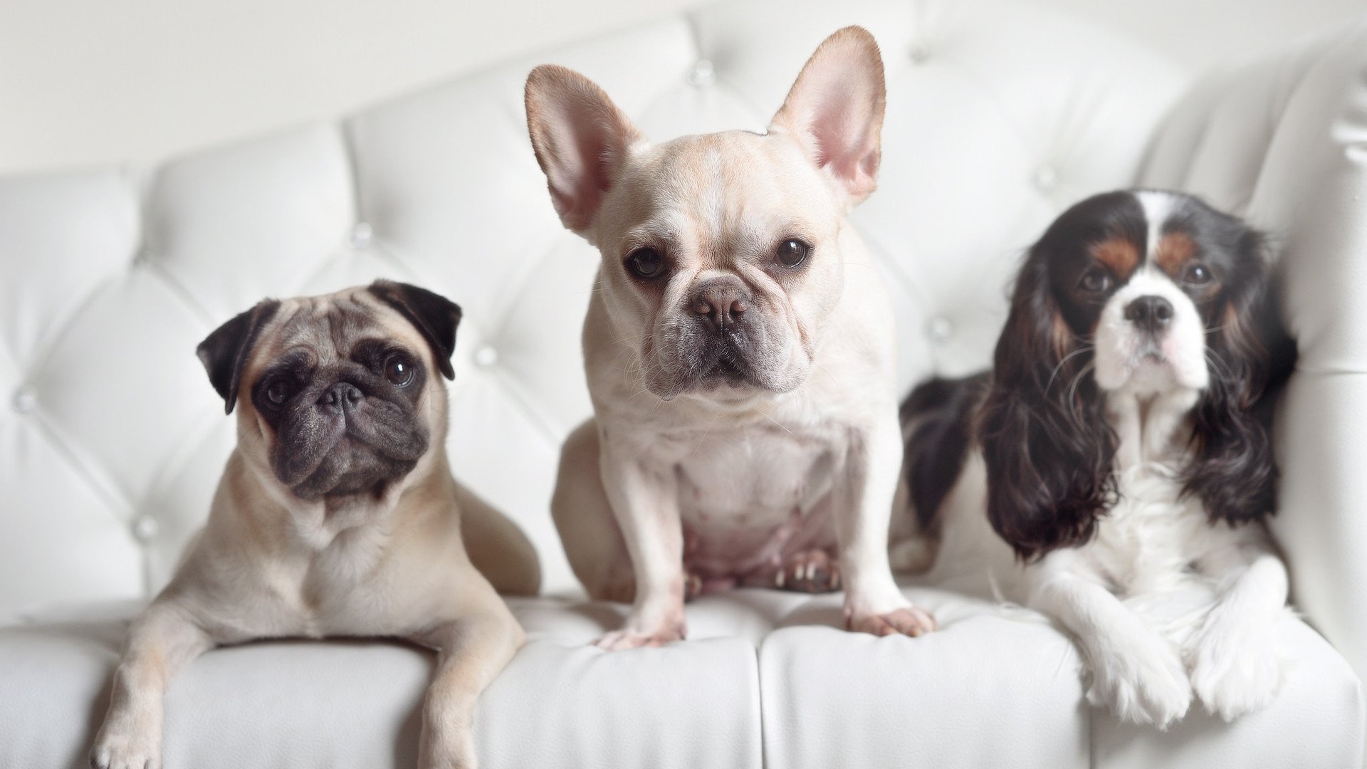 战术打法变幻莫测，扭转败势逆袭成功，战术 打法