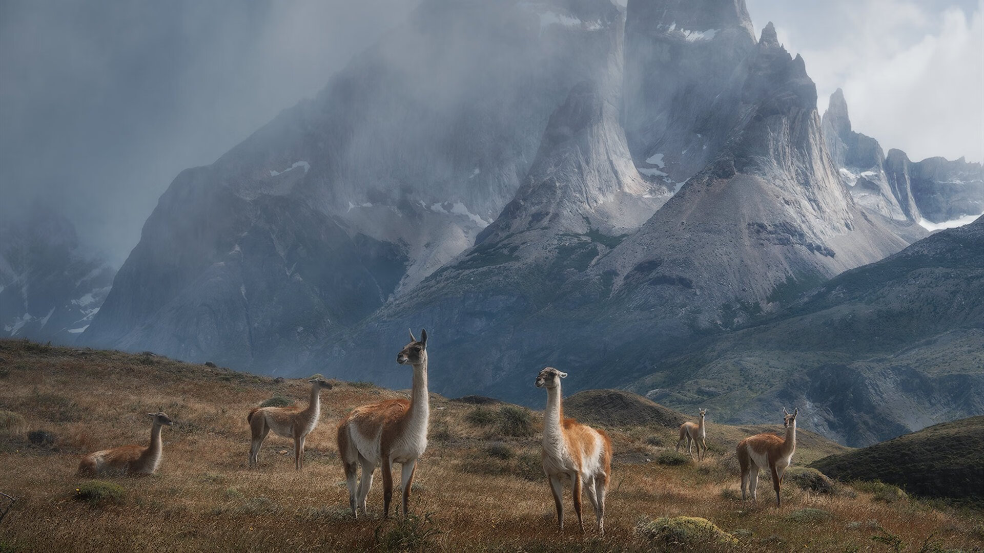 英国球员签约东亚俱乐部，融入新文化打球，英超东南亚