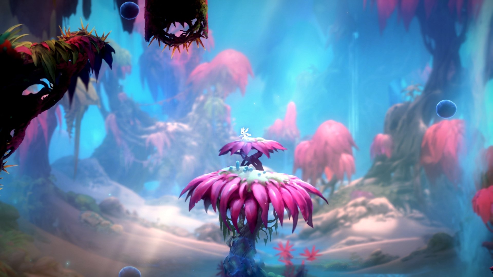 联盟是否应推出官方球员训练指导教材,联盟内训练开启熟练度100%开启篮球大师