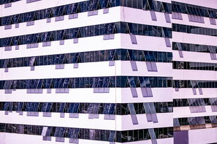 体育赛事风险管控体系建设，体育赛事风险防范