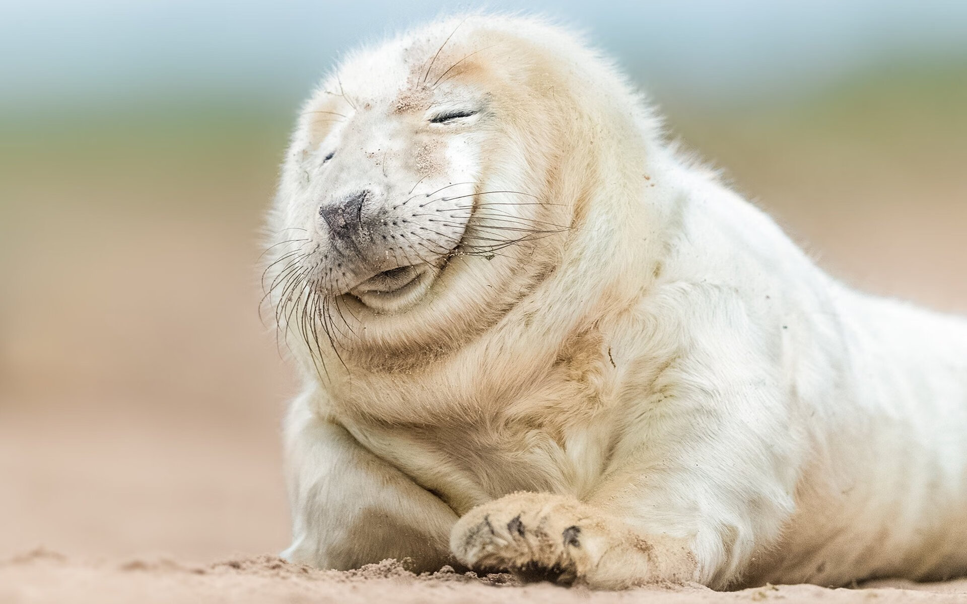 “东安湖赛场:飞扬的风帆与激情的竞技”