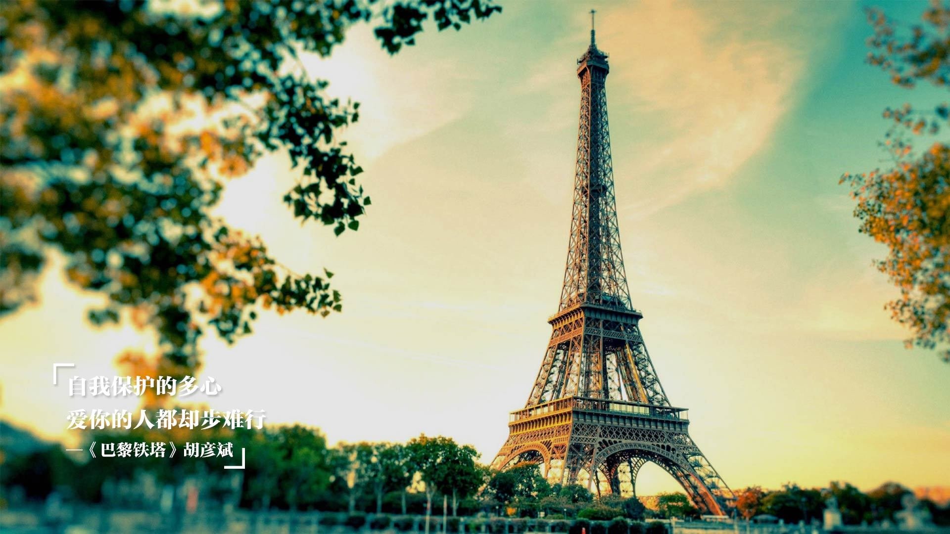 塔特领衔袋鼠队战术革新，快速反击成比赛亮点，袋鼠格斗