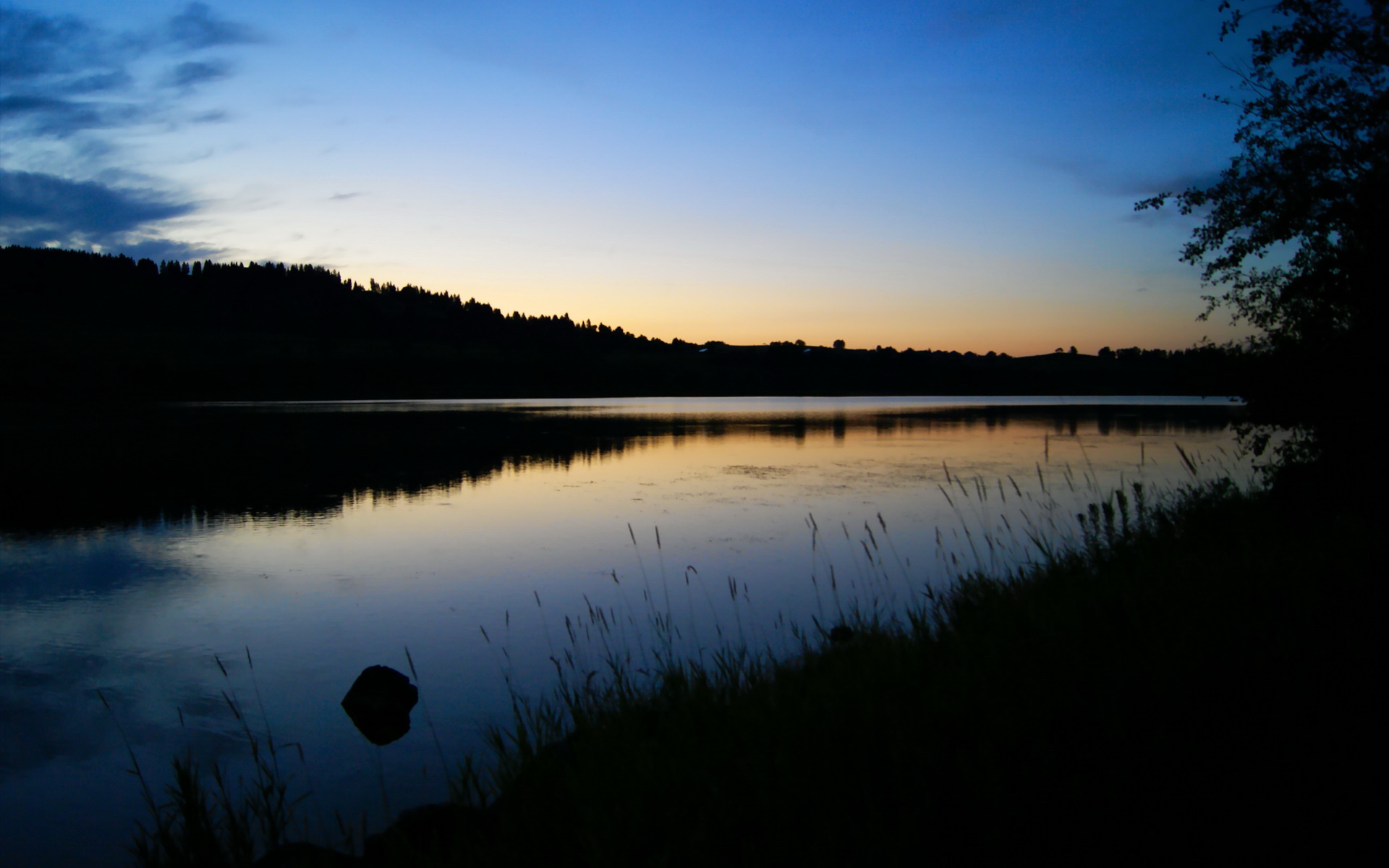 新西兰青训体制加强，如何为橄榄球未来注入新活力？，新西兰橄榄球国家队