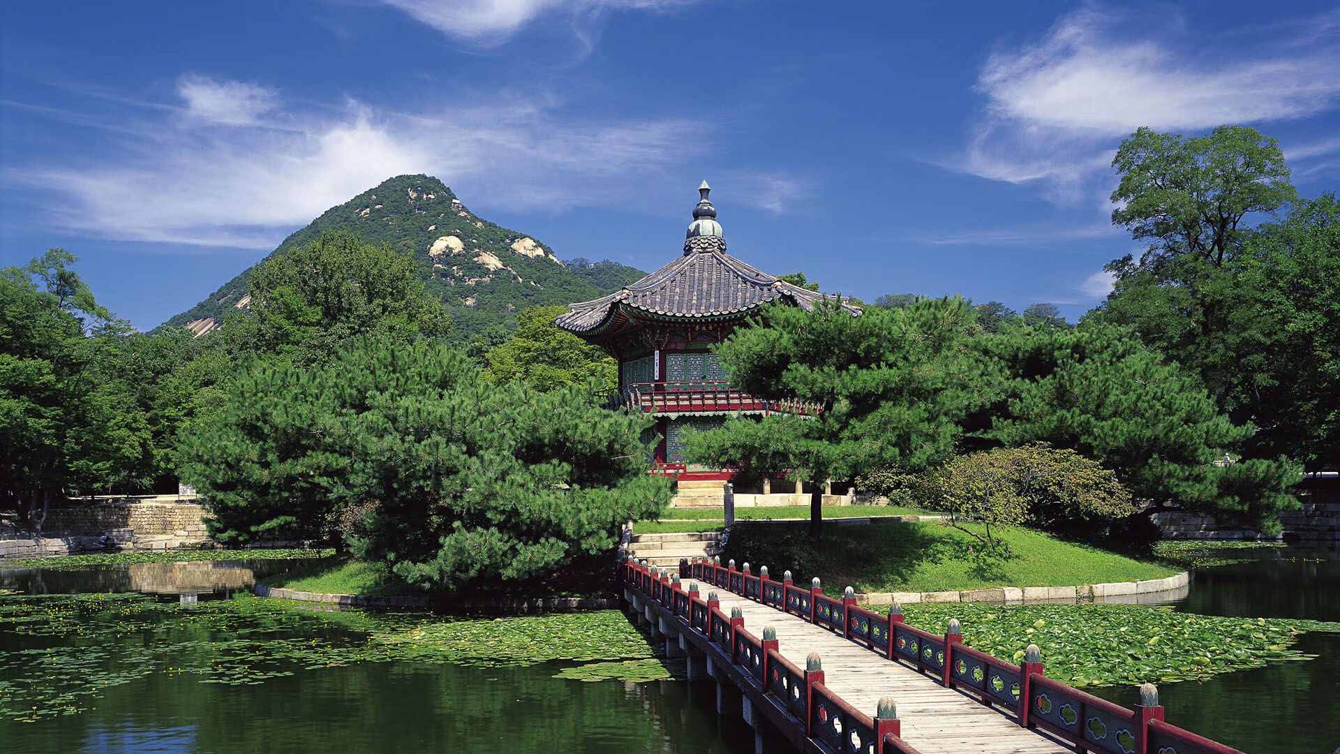 王嘉男创造历史跳远锦标赛，跳远运动员王嘉男个人简历