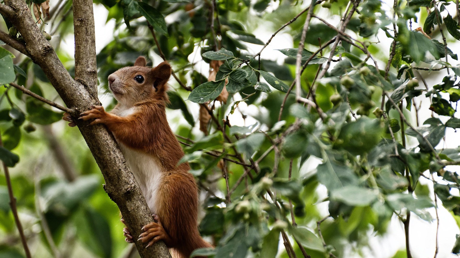 田径运动员心理素质训练,田径运动员心理素质训练视频